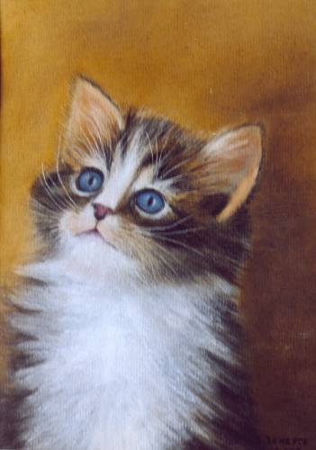 Reproduction intitule "Chaton" - (Pastel), de Suzanne DENEFFE (Belgique) Mdaille d'or internationale au 31e Salon 2001 (Gembloux).